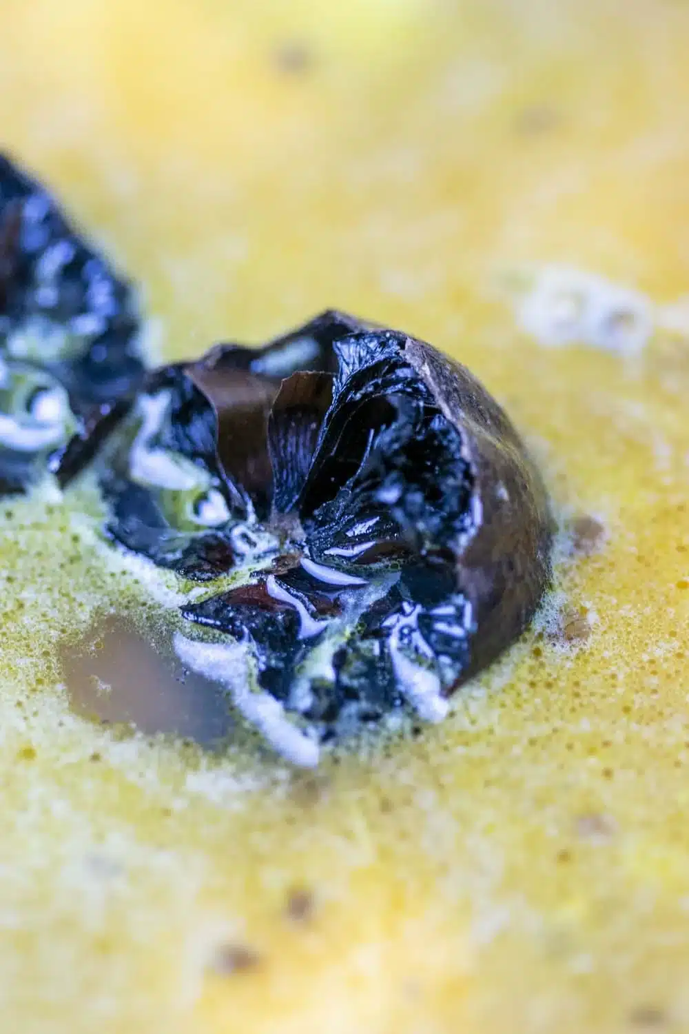 Citron noir d’Iran – Image 5