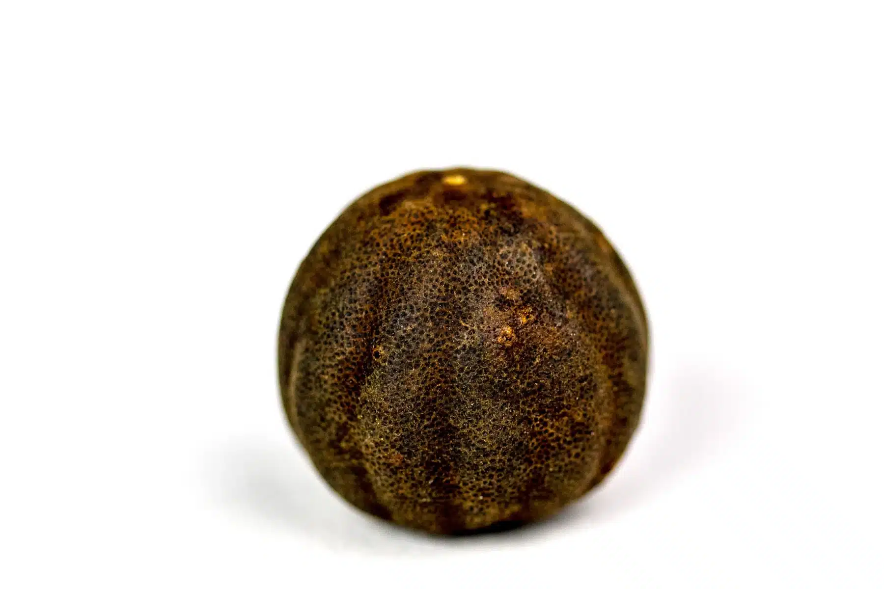 Citron noir d’Iran – Image 2